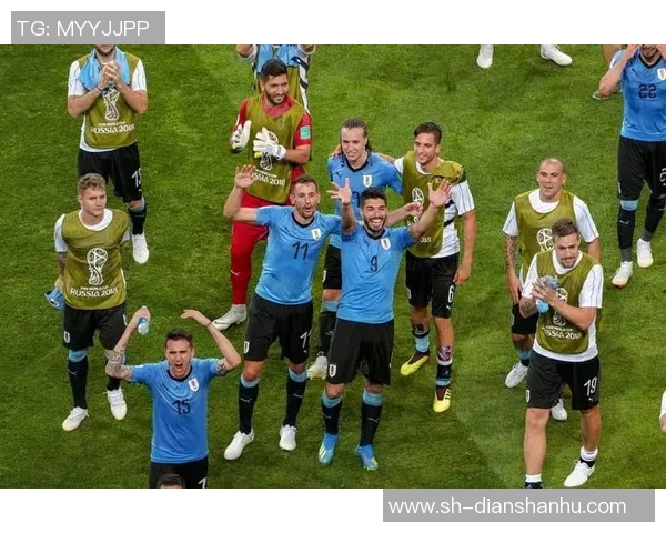 南美洲足球明星的辉煌历程与传奇故事探秘