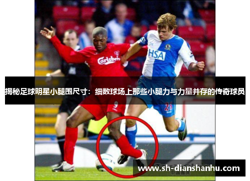 揭秘足球明星小腿围尺寸：细数球场上那些小腿力与力量并存的传奇球员