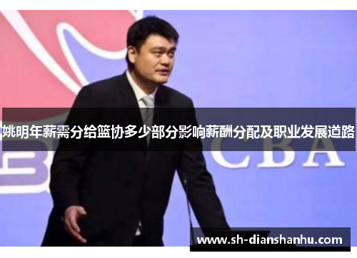 姚明年薪需分给篮协多少部分影响薪酬分配及职业发展道路