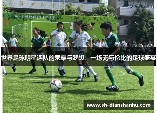 世界足球明星连队的荣耀与梦想：一场无与伦比的足球盛宴