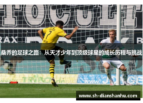 桑乔的足球之路：从天才少年到顶级球星的成长历程与挑战